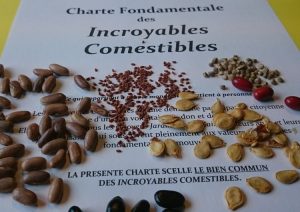 Ressources-Charte-Incroyables-Comestibles_Incredible-edible-manifesto